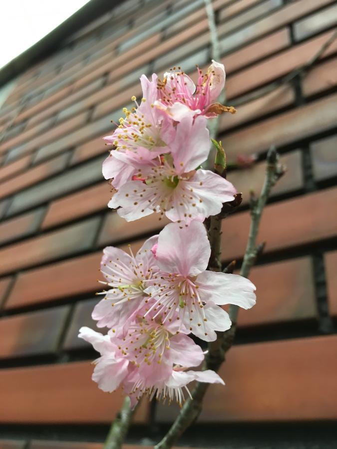 화롄 Day Dream 아파트 외부 사진